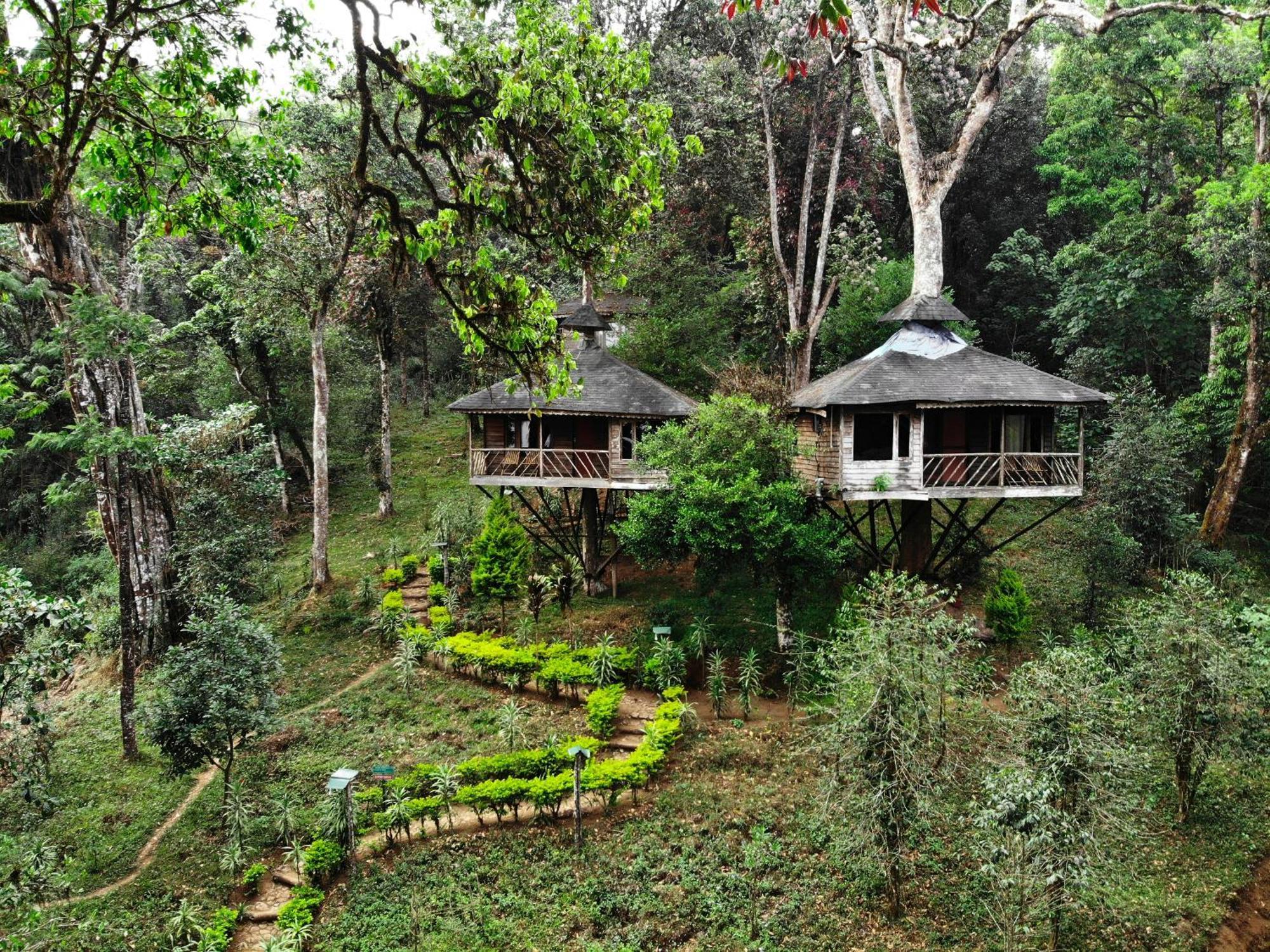Nature Zone Jungle Resort Munnar Zewnętrze zdjęcie